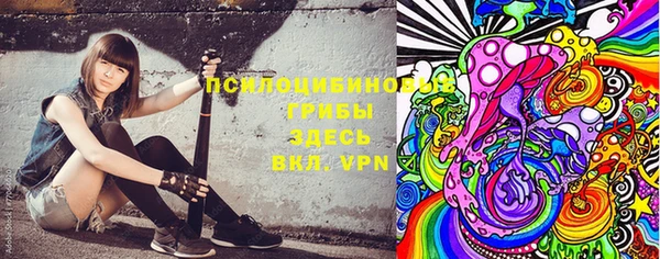 амф Белокуриха