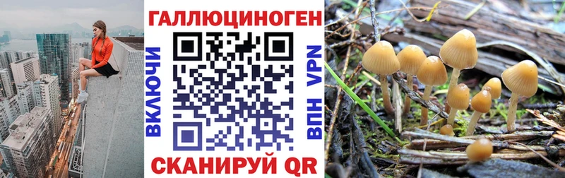Галлюциногенные грибы MAGIC MUSHROOMS  Пикалёво 